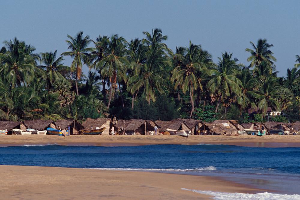 Arugam Bay